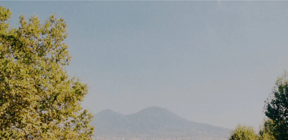 The Shift to Wellness