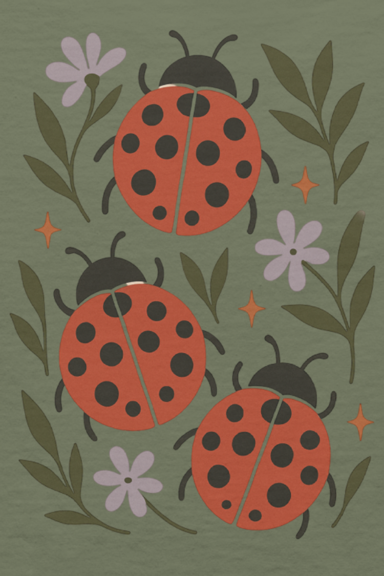 LADYBUG t-shirt