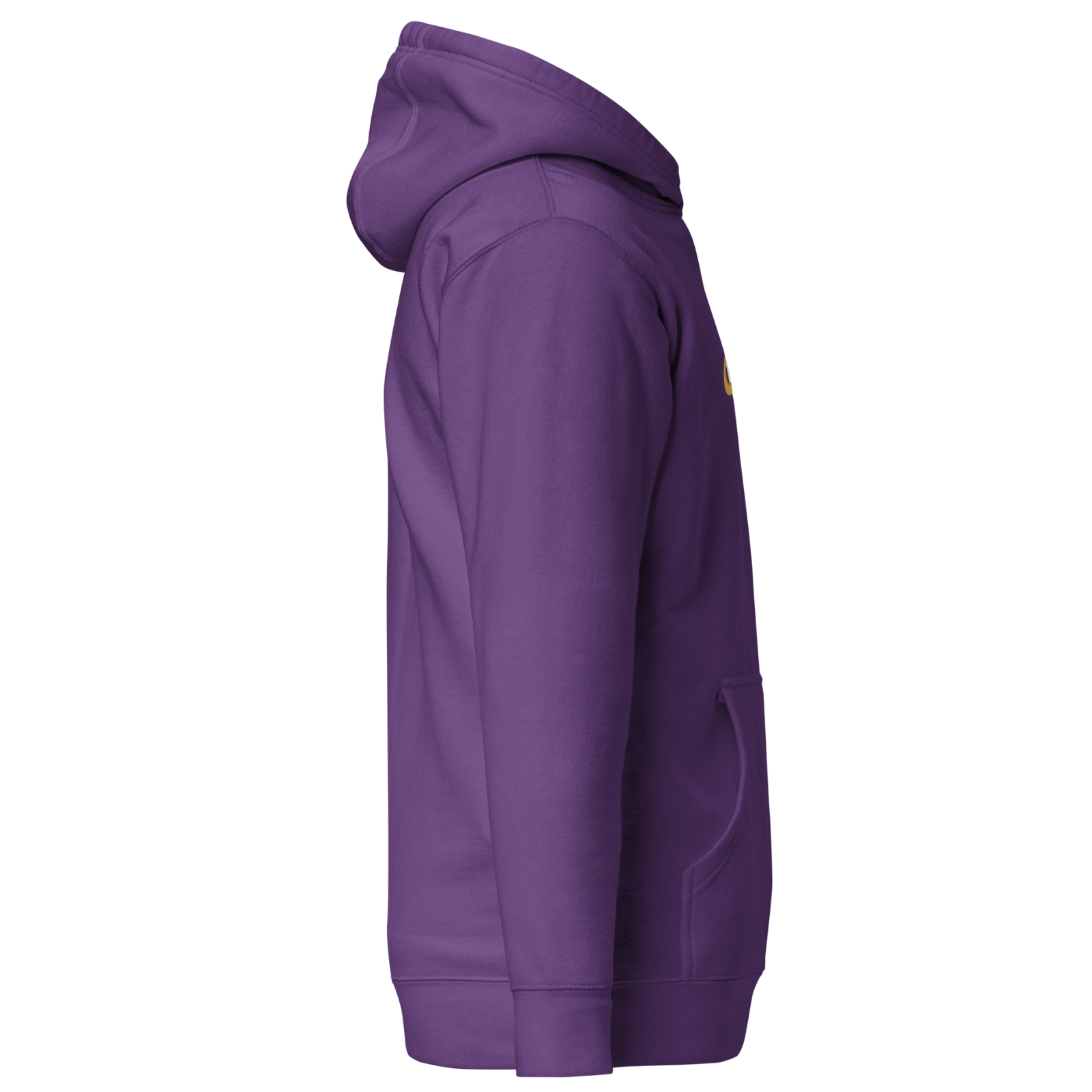 SATURN RELM (UNISEX) hoodie