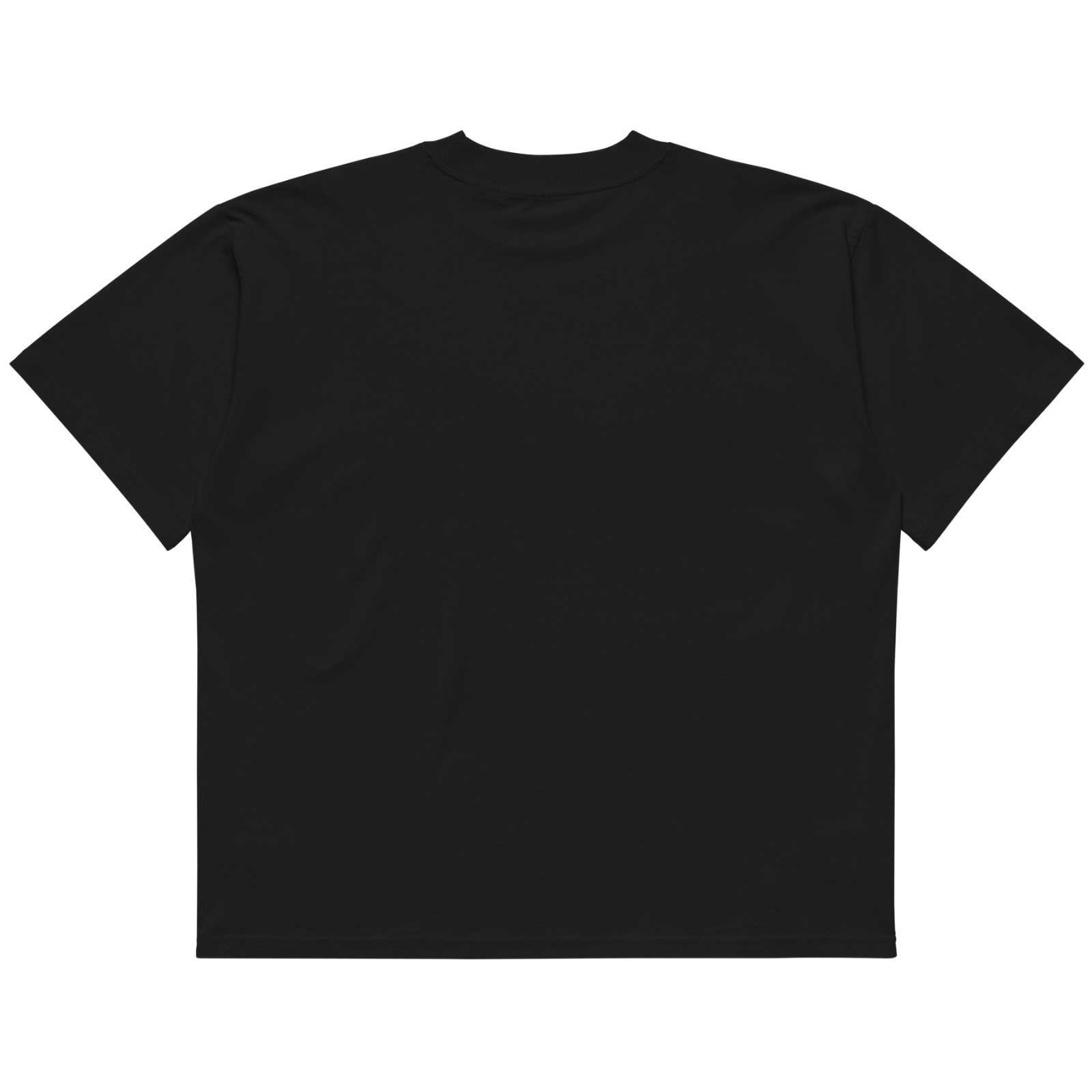 FLY oversized unisex tee