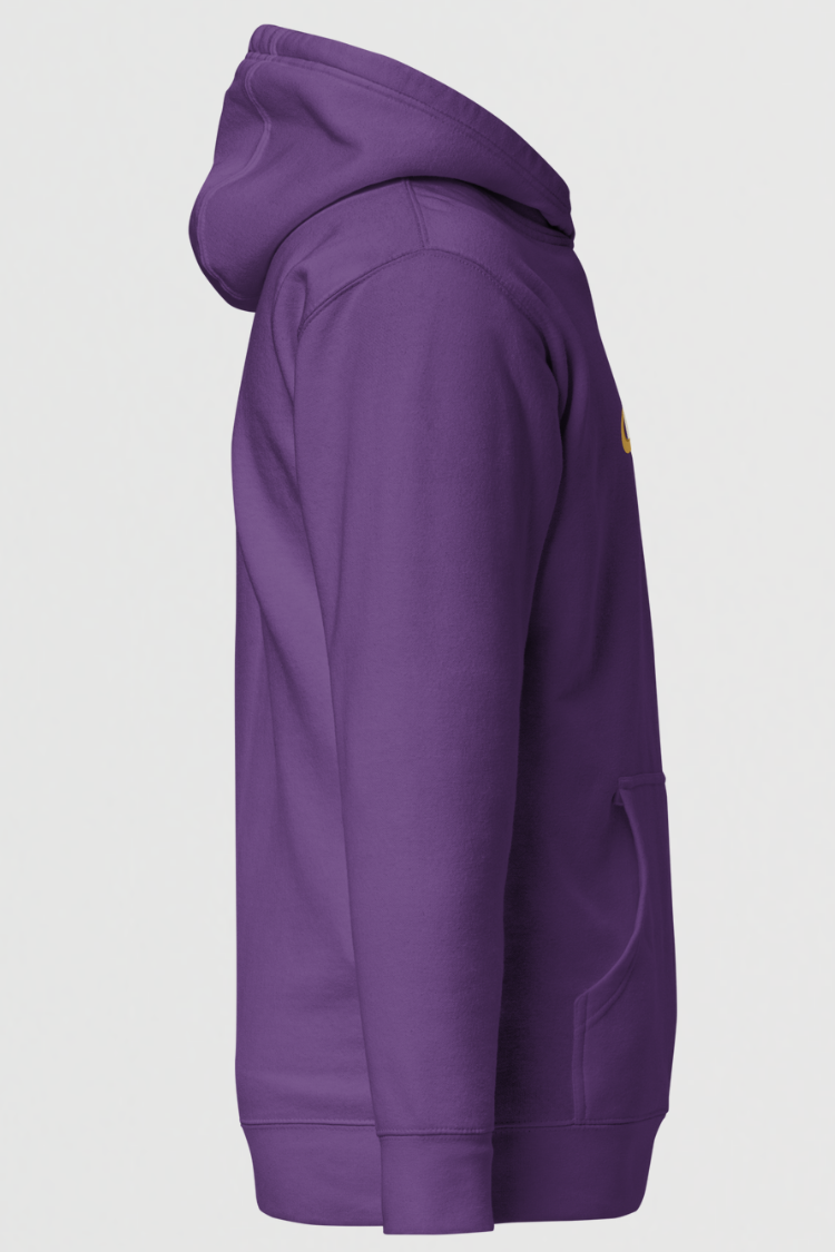 SATURN RELM (UNISEX) hoodie
