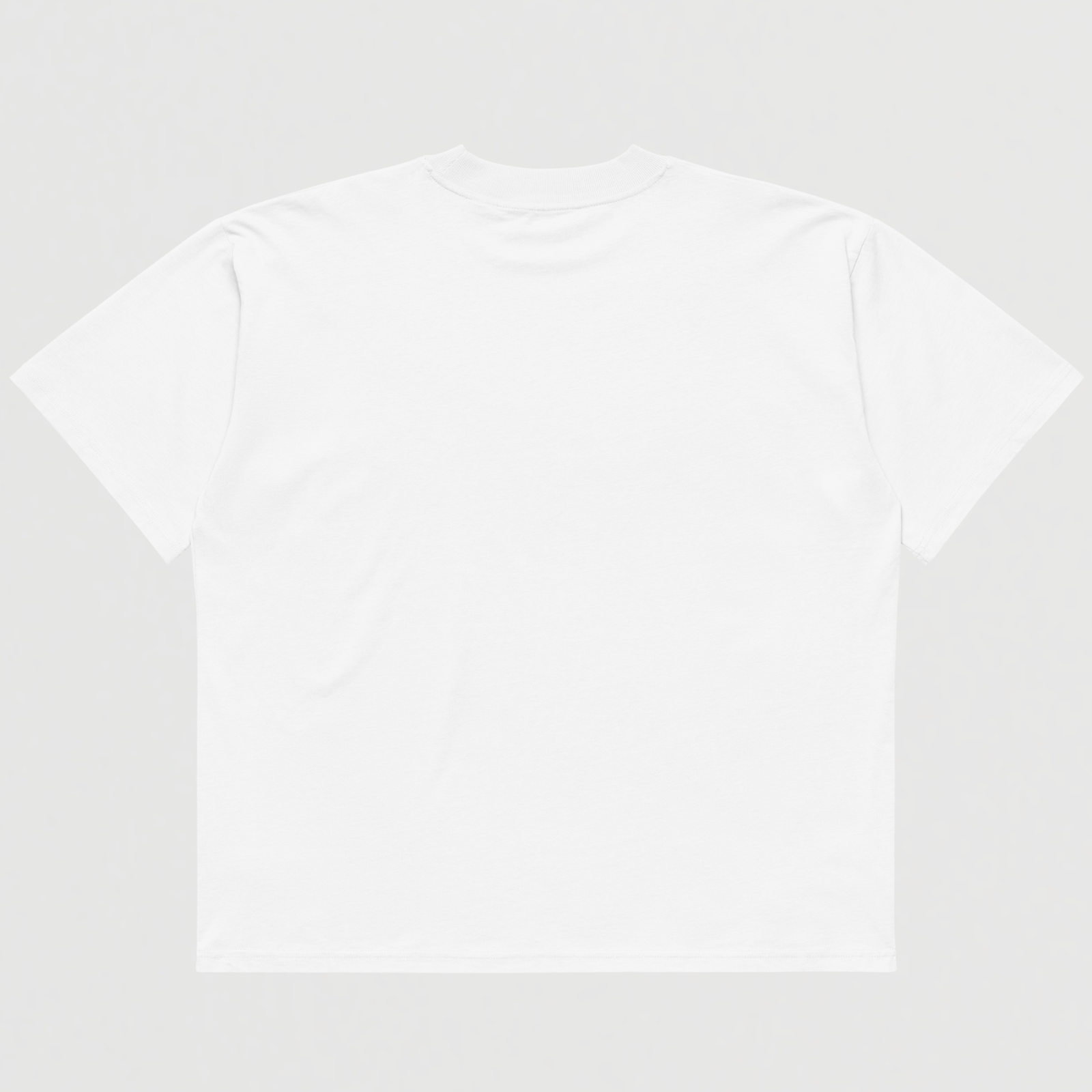 LEOST unisex t-shirt
