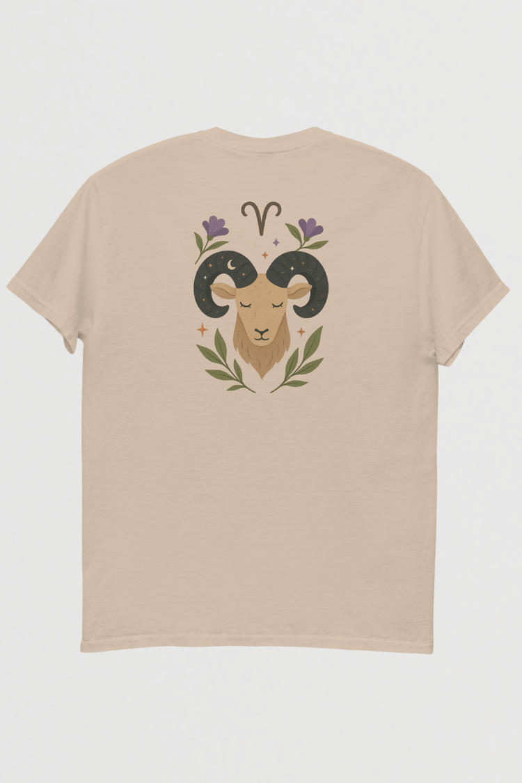 ARIES t-shirt